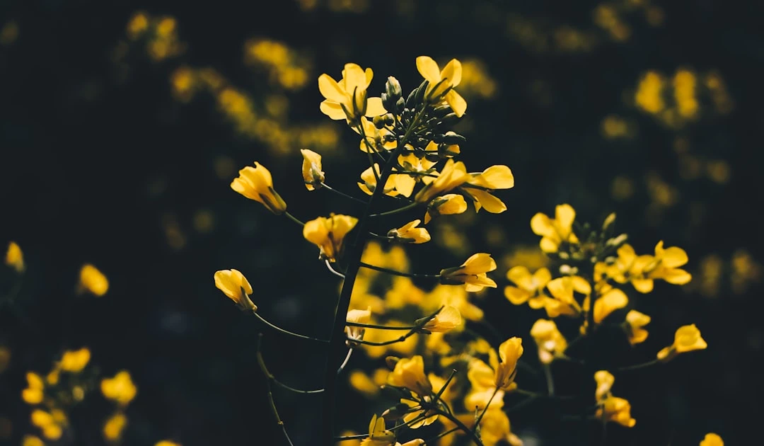 Keyword Clusters: o que é e como usar esta estratégia para potencializar seu SEO de forma inteligente ⎯ Foto: Kasturi Roy/Unsplash
