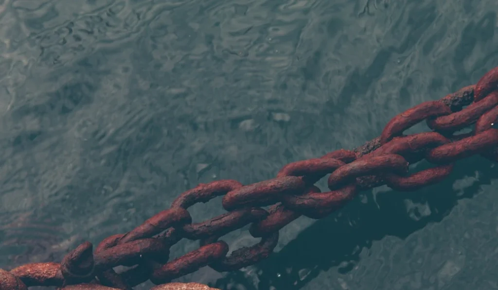 ⎯ Foto: Manuel Sardo/Unsplash