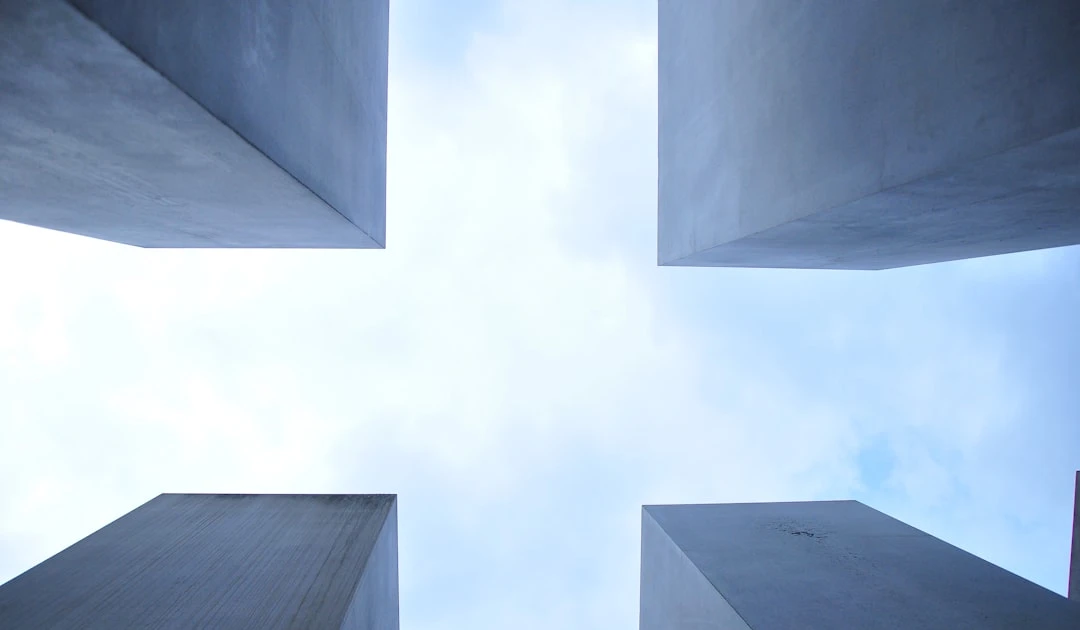 ⎯ Foto: davide ragusa/Unsplash
