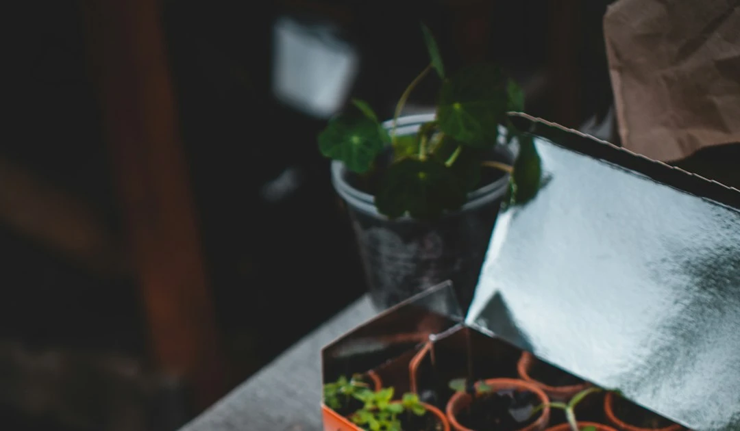⎯ Foto: Jonathan Kemper/Unsplash