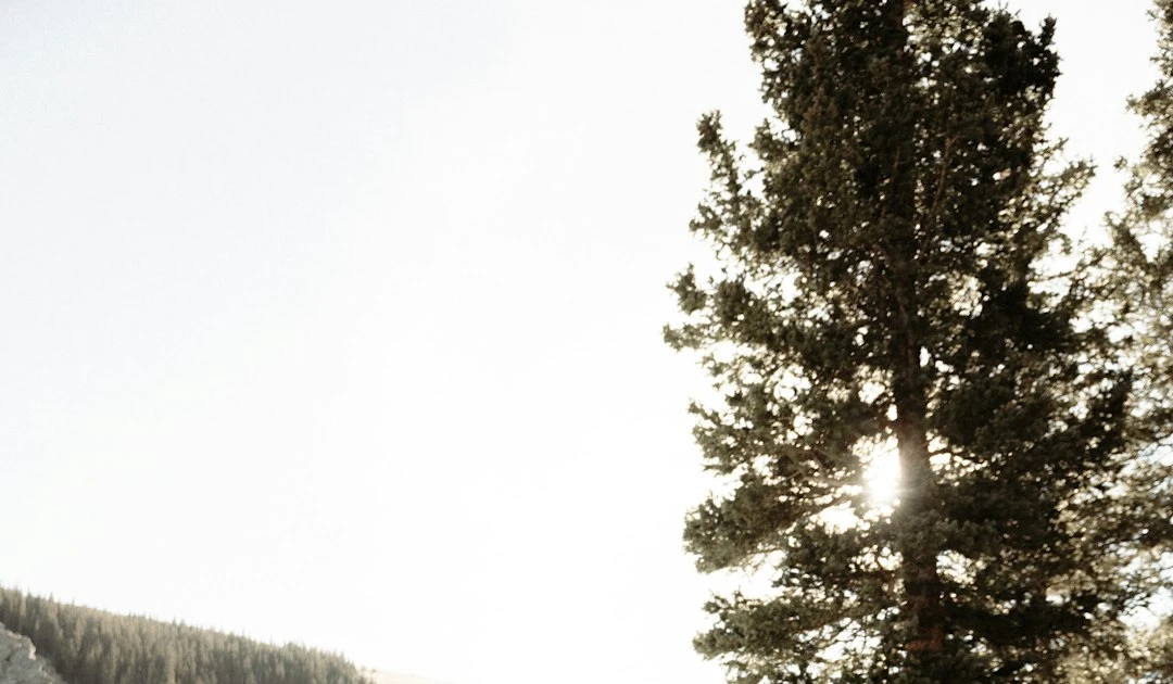 ⎯ Foto: Alessio Zaccaria/Unsplash