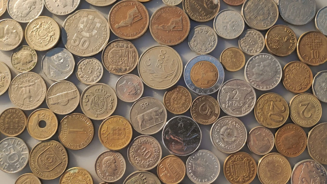 ⎯ Foto: Pedro J Conesa/Unsplash