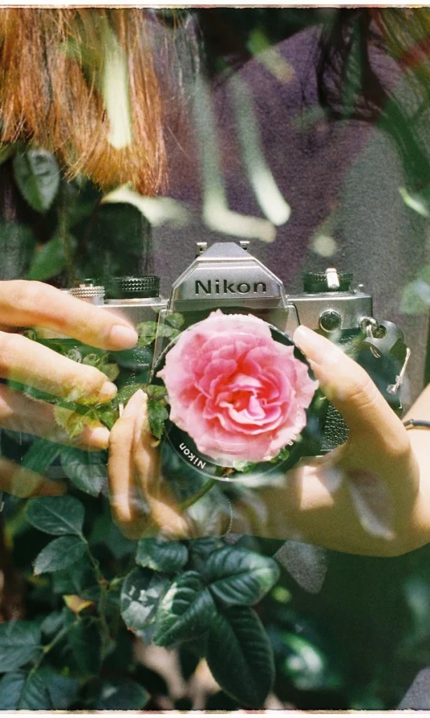 ⎯ Foto: stayhereforu/Pexels