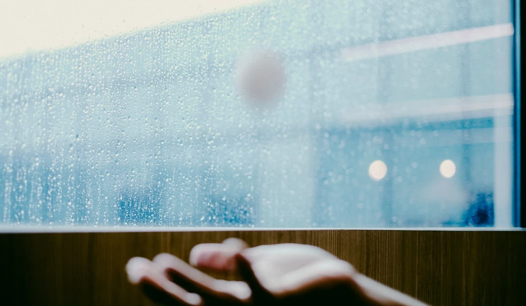⎯ Foto: bady abbas/Unsplash