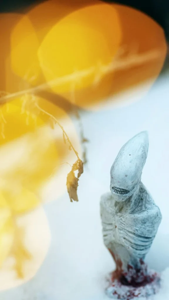 ⎯ Foto: Олег Мороз/Unsplash
