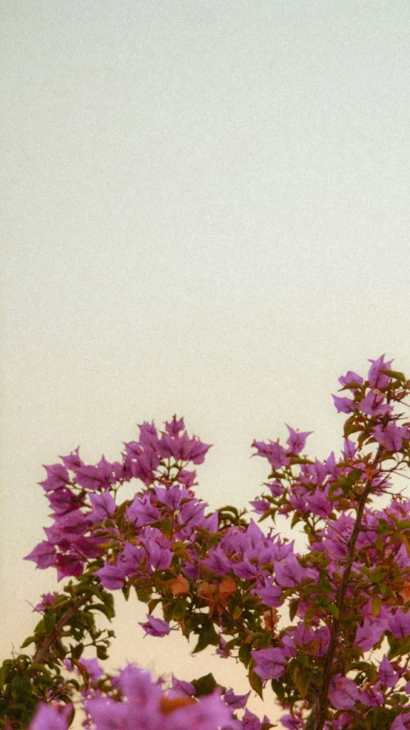 ⎯ Foto: Christina Deravedisian/Unsplash