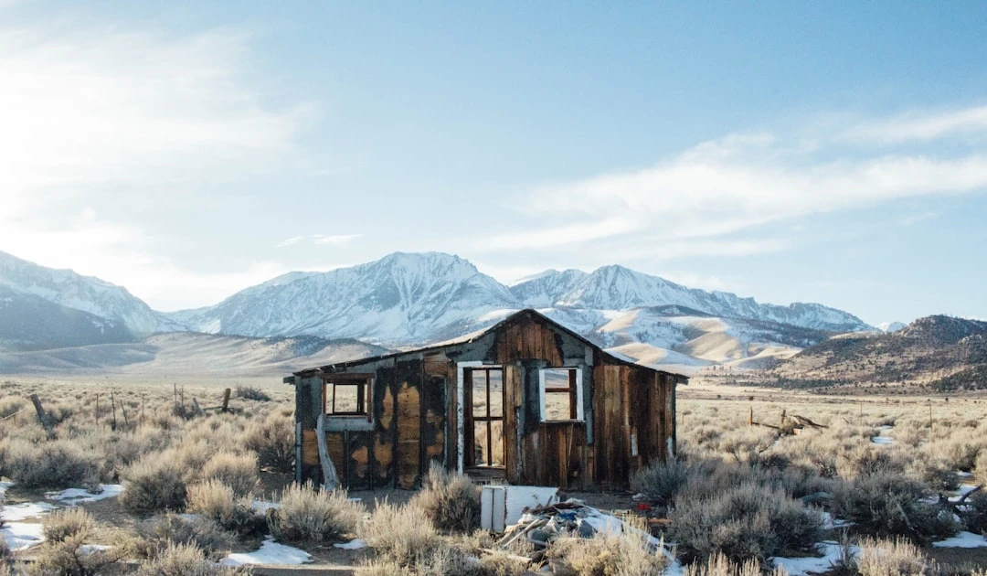 ⎯ Foto: Ben Cliff/Unsplash