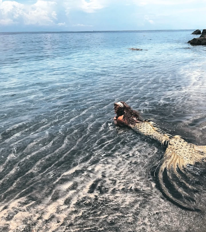 ⎯ Foto: Tim Mossholder/Unsplash