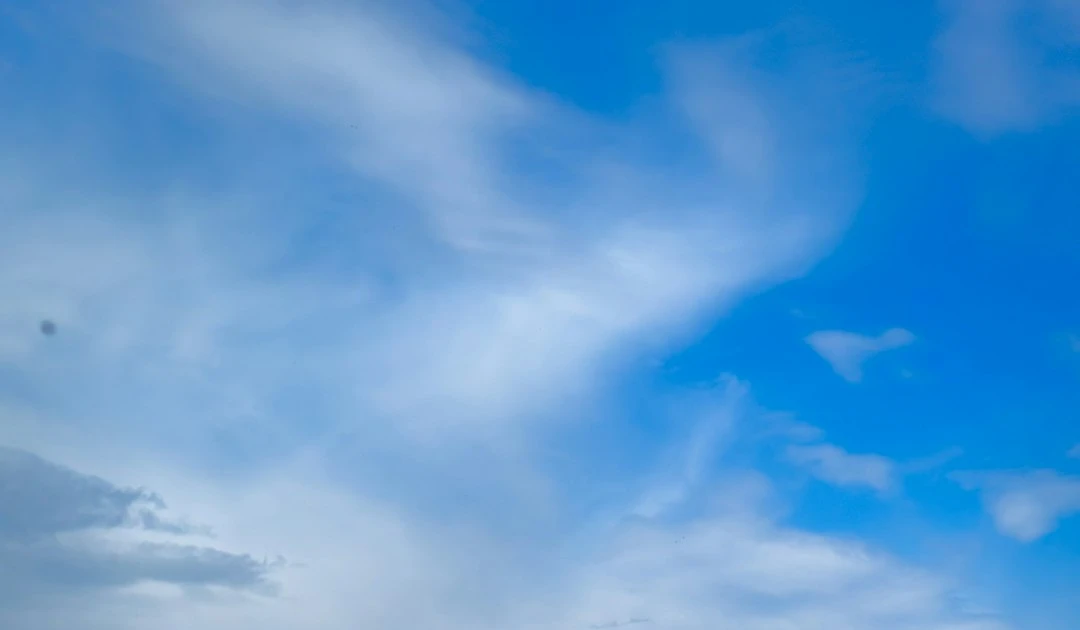 ⎯ Foto: Sandra-Beatrice Molnar/Unsplash